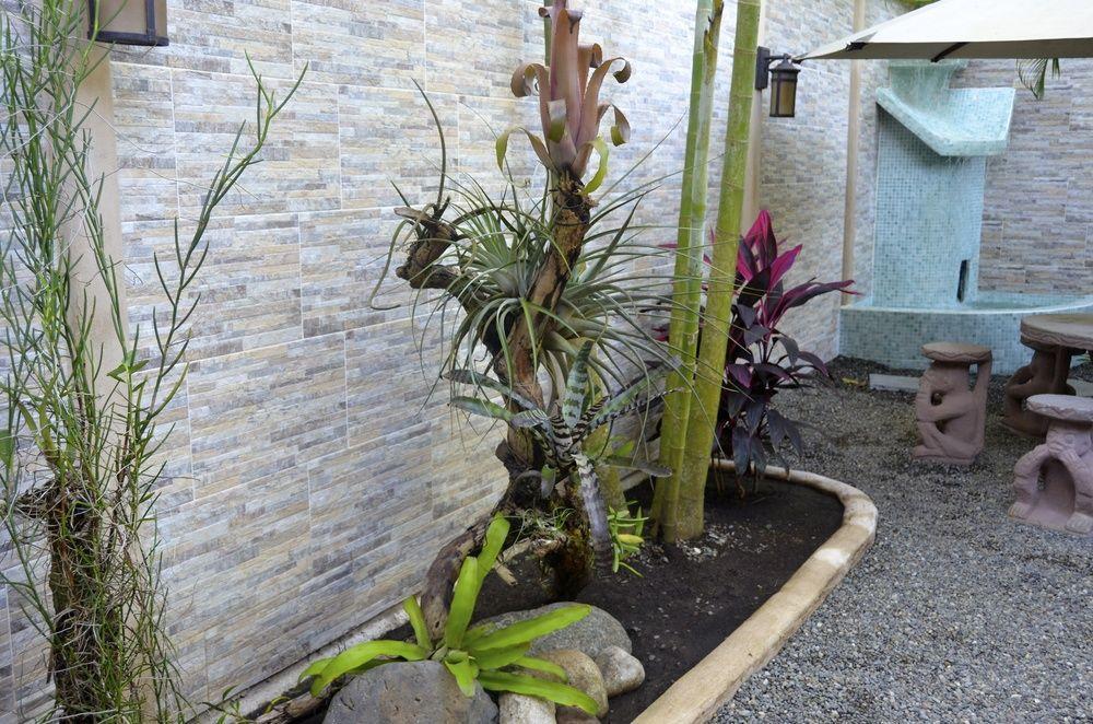 Physis Caribbean Bed & Breakfast Puerto Viejo de Talamanca Exterior foto